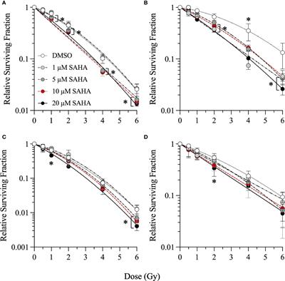 Evaluation of Histone Deacetylase Inhibitors as Radiosensitizers for Proton and Light Ion Radiotherapy